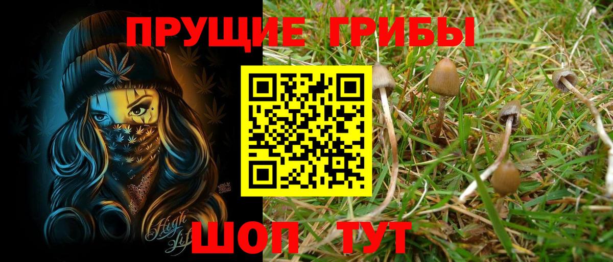 Галлюциногенные грибы Cubensis Соль-Илецк