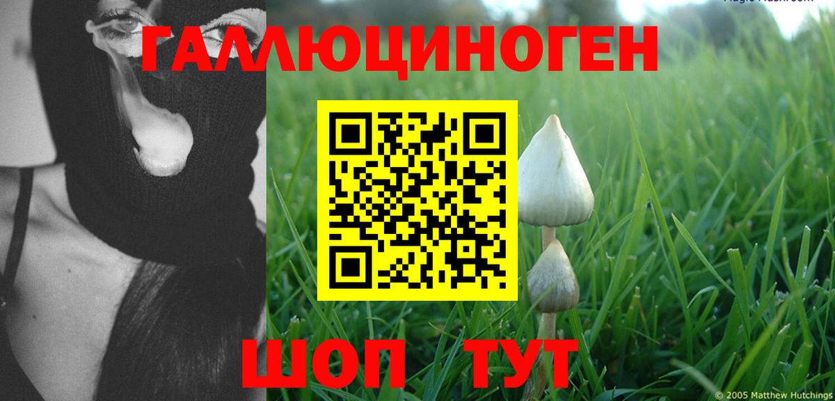 Галлюциногенные грибы прущие грибы  Вход с VPN  Соль-Илецк 