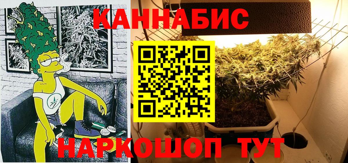 Канабис план  Вход с VPN  Конопля Amnesia  Марихуана тримм  Соль-Илецк 